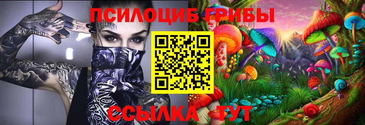 Лесной  Галлюциногенные грибы GOLDEN TEACHER  Вход с VPN 